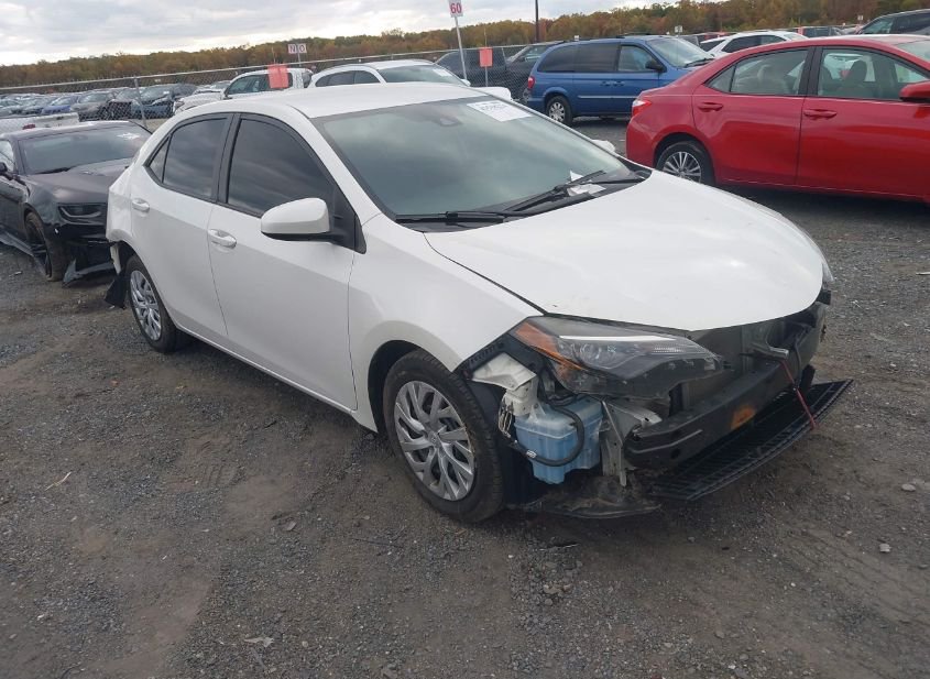 2019 TOYOTA COROLLA LE photo