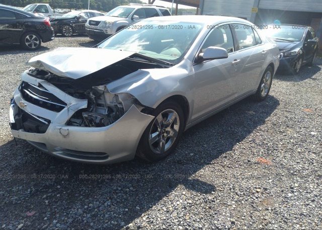 из сша 2010 CHEVROLET MALIBU 1G1ZC5EB2AF251471
