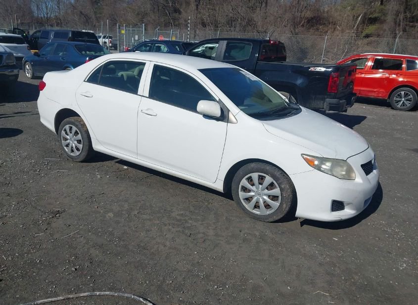 2009 TOYOTA COROLLA LE photo