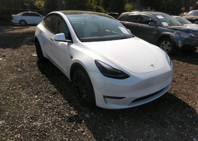 2023 TESLA MODEL Y (VIN: 7SAYGDEE7PF748091)