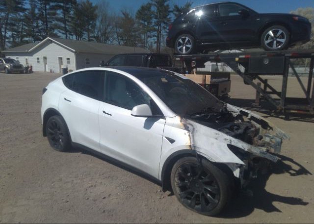 2022 TESLA MODEL Y (VIN: 7SAYGDEE0NF512055)