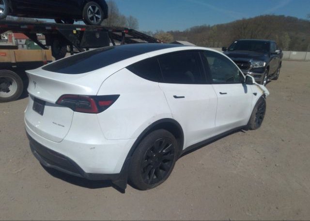 2022 TESLA MODEL Y(VIN: 7SAYGDEE0NF512055