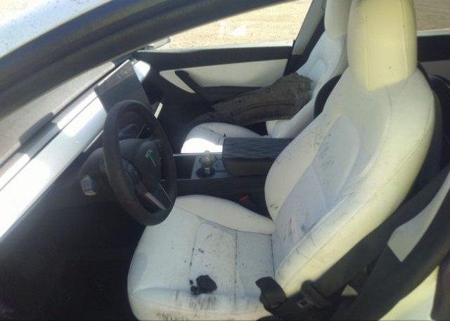 2022 TESLA MODEL Y(VIN: 7SAYGDEE0NF512055