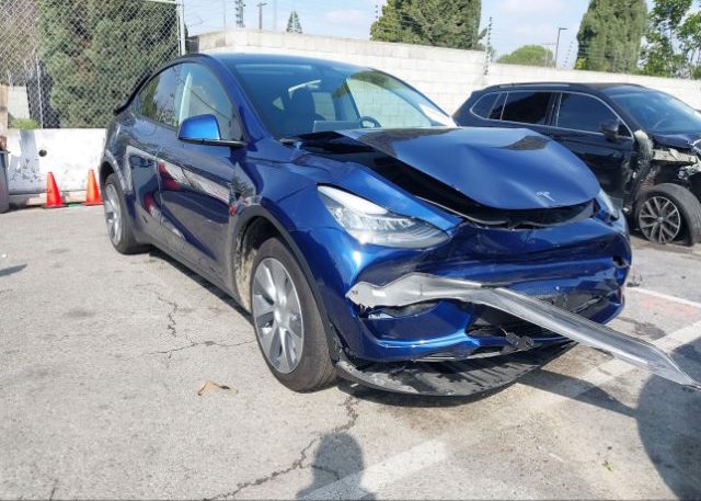 2022 TESLA MODEL Y (VIN: 7SAYGDEE0NF434621)