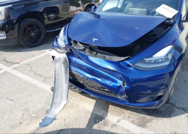 2022 TESLA MODEL Y(VIN: 7SAYGDEE0NF434621