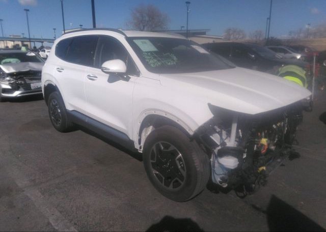 2021 HYUNDAI SANTA FE HYBRID (VIN: KM8S2DA19MU002745)