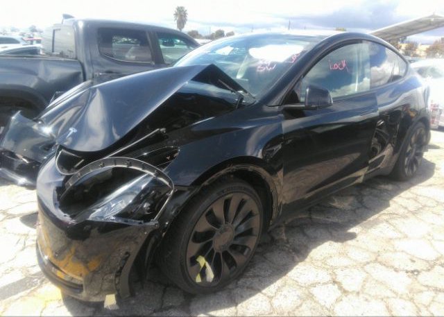 2022 TESLA MODEL Y(VIN: 7SAYGDEF2NF543946