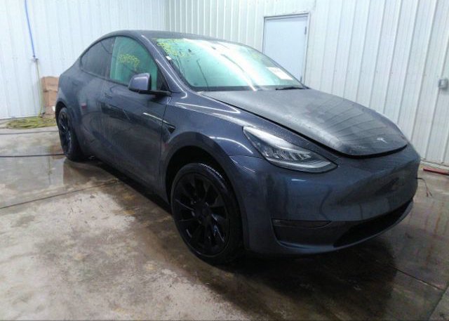 2021 TESLA MODEL Y (VIN: 5YJYGDED6MF177029)