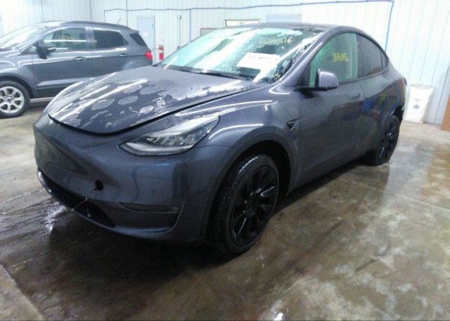 2021 TESLA MODEL Y(VIN: 5YJYGDED6MF177029