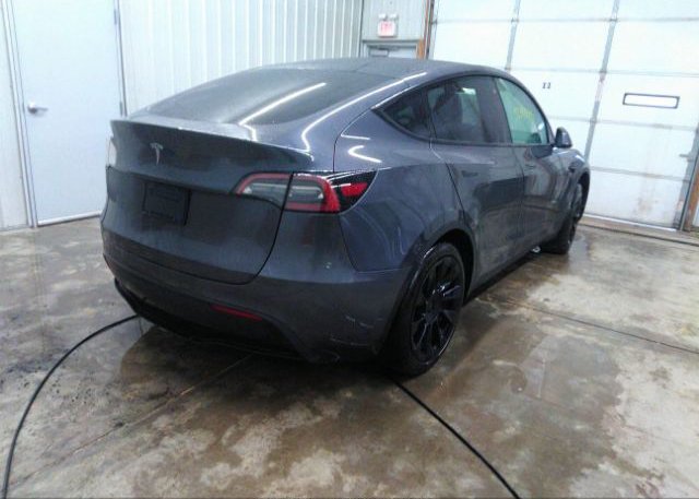 2021 TESLA MODEL Y(VIN: 5YJYGDED6MF177029