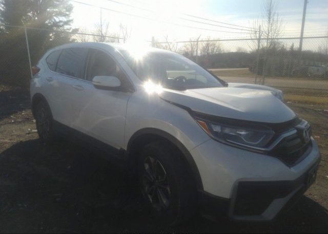 2021 HONDA CR-V (VIN: 7FARW2H83ME004244)