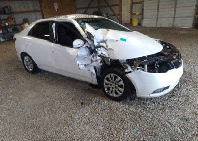 KNAFU4A27B5382486 2011 KIA FORTE