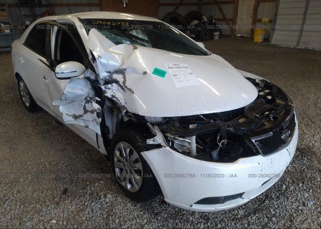 KNAFU4A27B5382486 2011 KIA FORTE