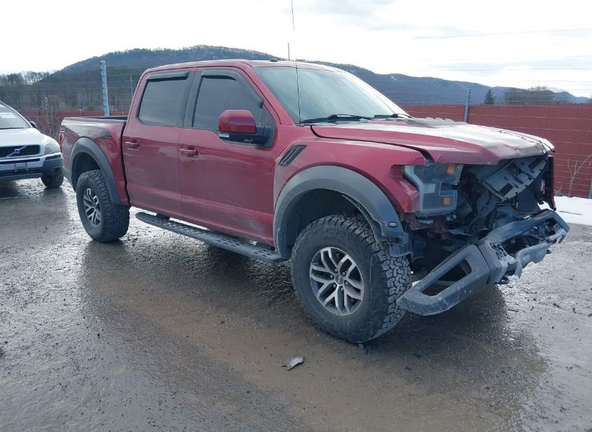 2017 FORD F-150 RAPTOR photo