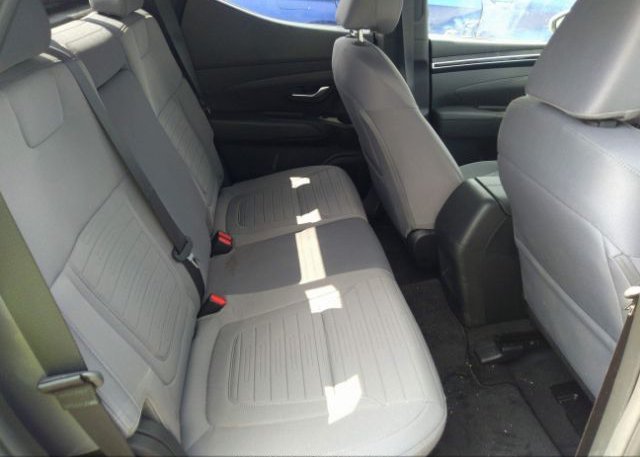 2023 HYUNDAI SANTA CRUZ(VIN: 5NTJCDAE4PH061086