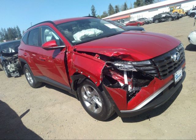 2023 HYUNDAI TUCSON (VIN: 5NMJBCAE4PH248935)