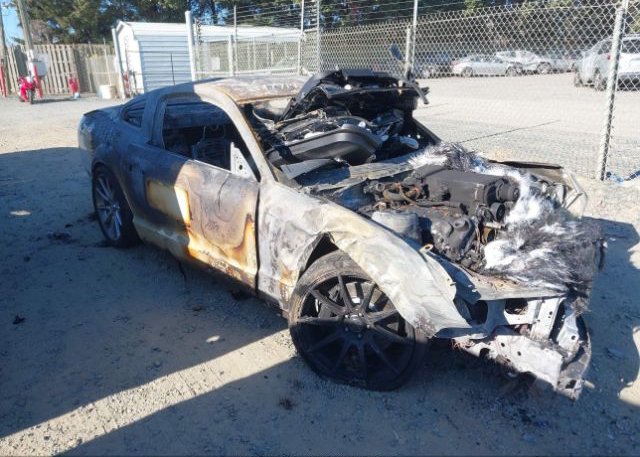 1ZVHT88S985178595 2008 FORD SHELBY GT500