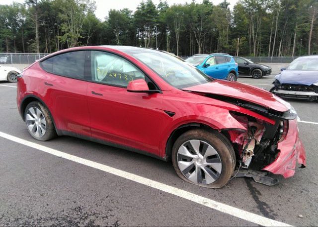 2022 TESLA MODEL Y (VIN: 7SAYGDEE8NF321502)