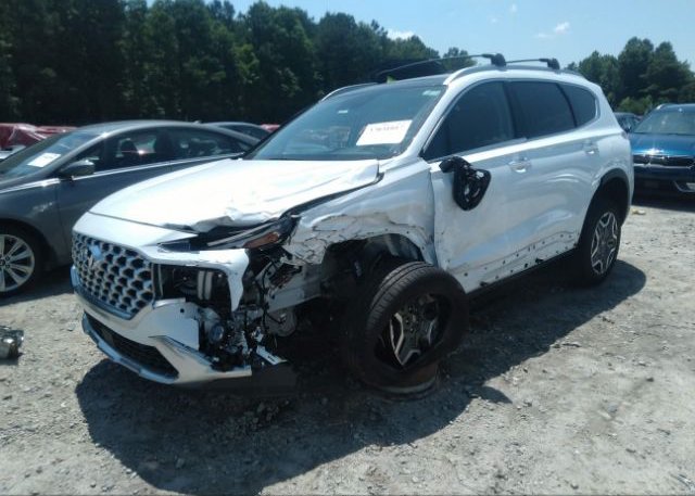 2022 HYUNDAI SANTA FE(VIN: 5NMS4DAL6NH469517