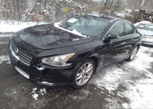 из сша 2011 NISSAN MAXIMA 1N4AA5AP0BC823349