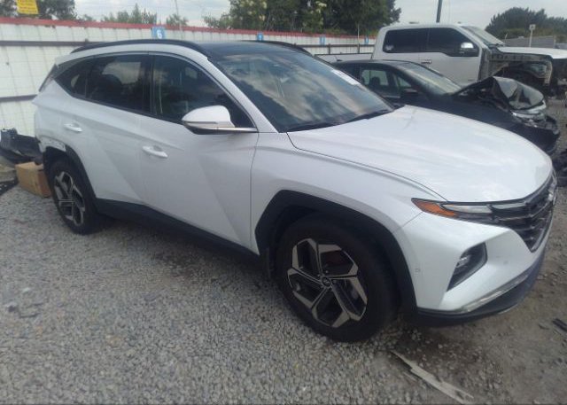 2022 HYUNDAI TUCSON (VIN: 5NMJE3AE3NH113742)