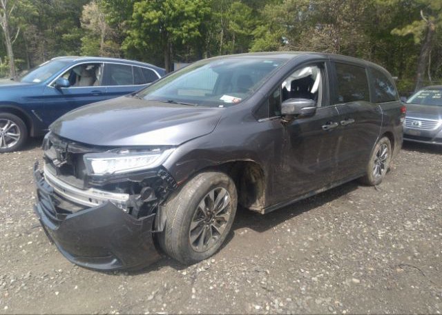 2022 HONDA ODYSSEY(VIN: 5FNRL6H77NB040443