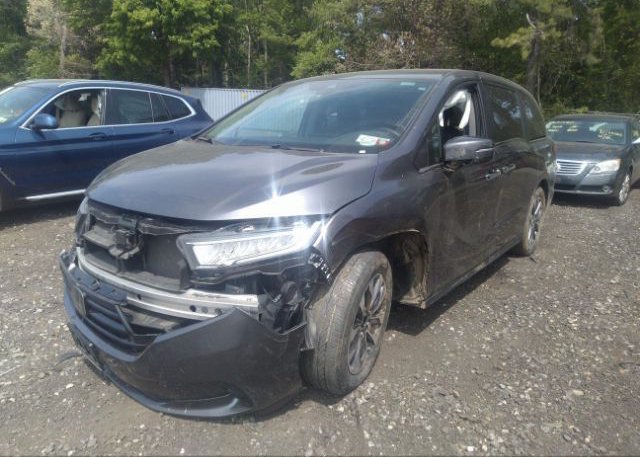 2022 HONDA ODYSSEY(VIN: 5FNRL6H77NB040443