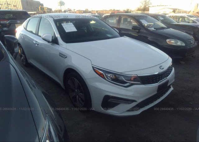 5XXGT4L31KG353481 2019 KIA OPTIMA