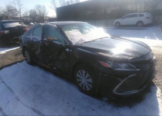 2023 TOYOTA CAMRY (VIN: 4T1C31AK8PU601598)