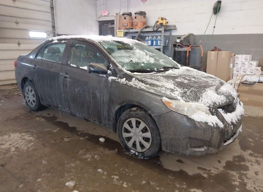 2009 TOYOTA COROLLA LE photo