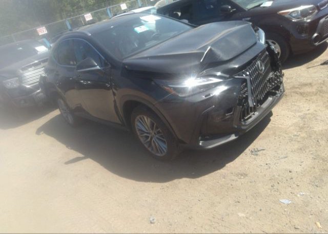2022 LEXUS NX (VIN: JTJHKCEZ2N5004130)