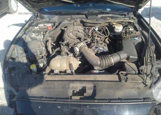 1FA6P8AM3H5308922 2017 FORD MUSTANG