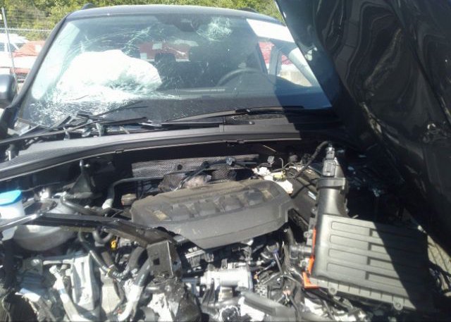 2023 VOLKSWAGEN TIGUAN(VIN: 3VVRB7AX8PM052765