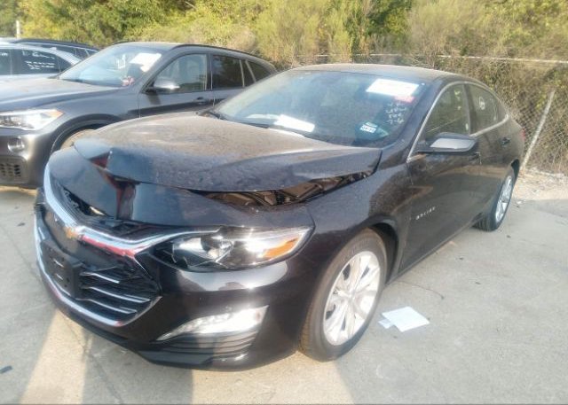 2023 CHEVROLET MALIBU(VIN: 1G1ZD5STXPF195508