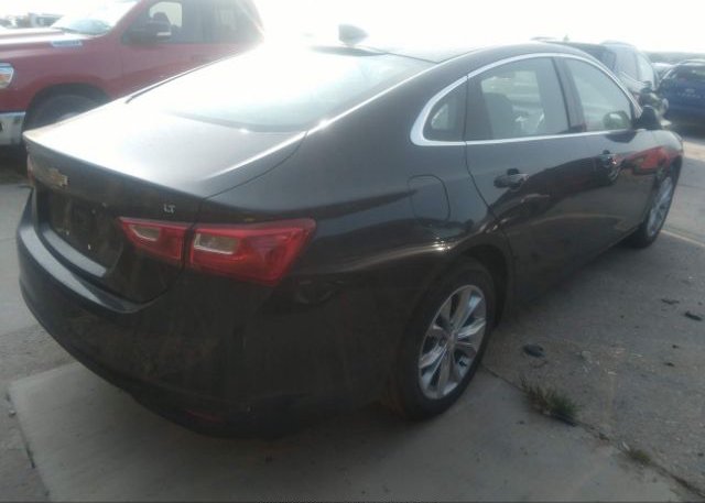 2023 CHEVROLET MALIBU(VIN: 1G1ZD5STXPF195508