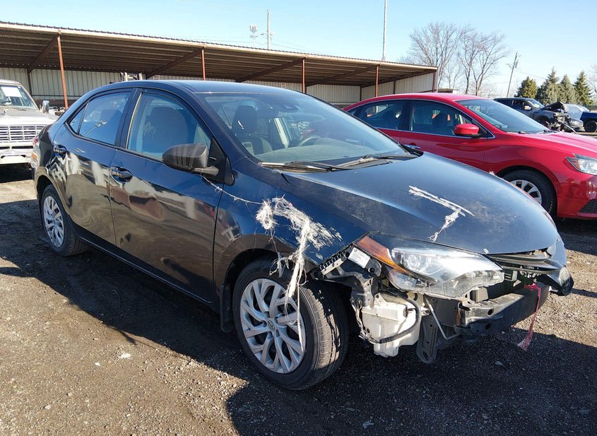 2019 Toyota Corolla 1.8L photo