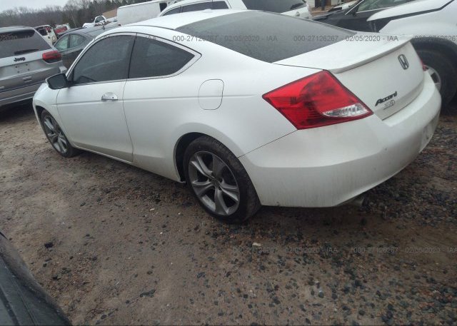 купить 2011 Honda ACCORD CPE 1HGCS2B86BA000833