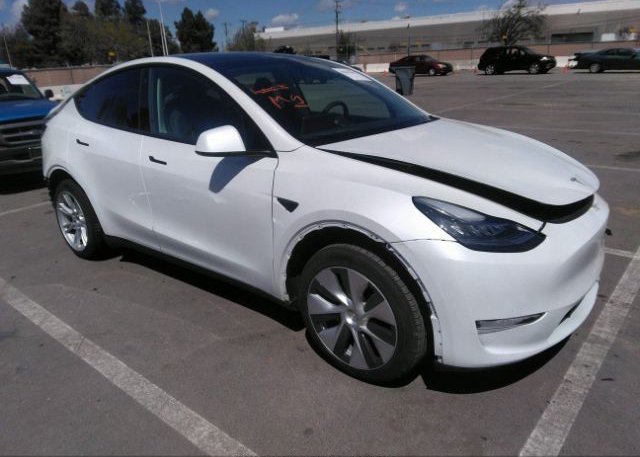 2023 TESLA MODEL Y (VIN: 7SAYGDEE4PF600061)