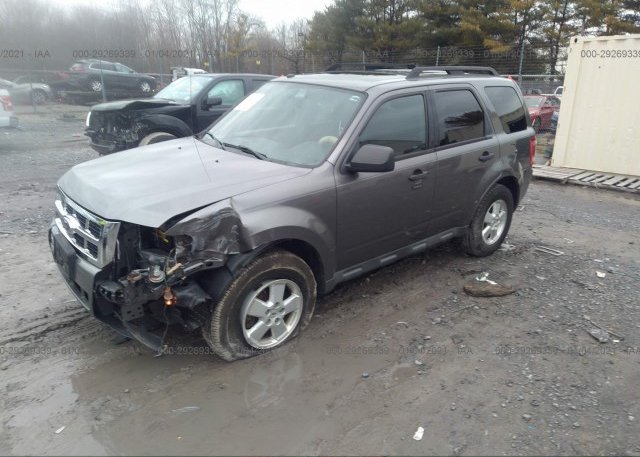 из сша 2011 FORD ESCAPE 1FMCU0D70BKB88286