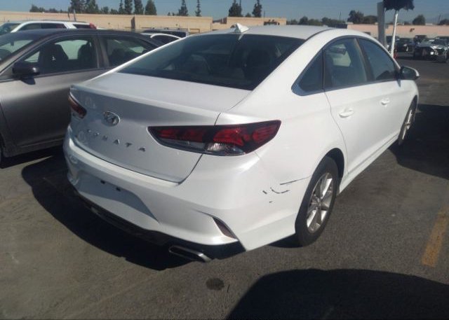 5NPE24AF0KH802404 2019 HYUNDAI SONATA-3