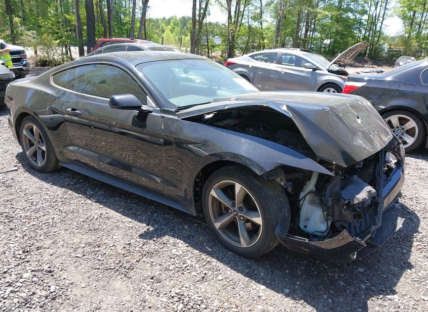 2015 Ford Mustang 3.7L photo