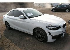 2018 BMW 230i 2-SERIES VIN WBA2J1C59JVD09490 фото с аукциона 5