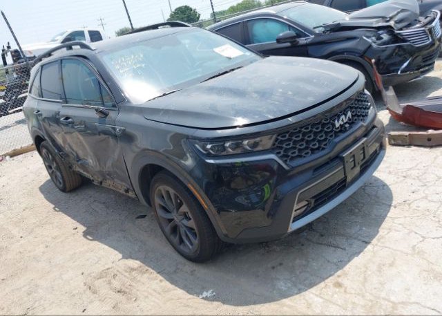 2023 KIA SORENTO (VIN: 5XYRKDLF8PG177781)