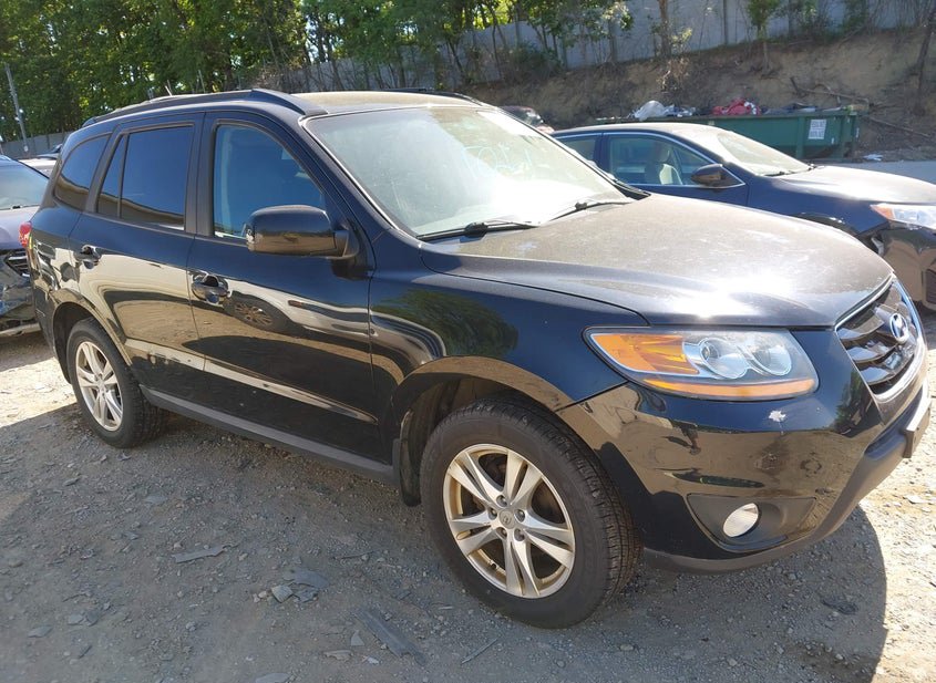 IAAI lot
