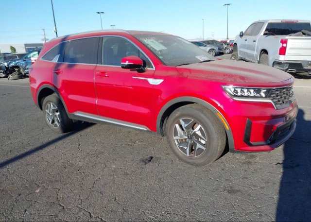 KNDRH4LG7P5193292 2023 KIA SORENTO HYBRID