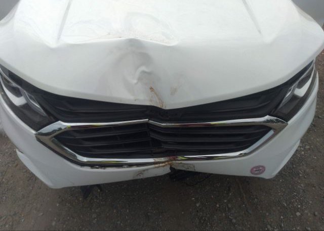 2021 CHEVROLET EQUINOX(VIN: 3GNAXUEV2MS142805