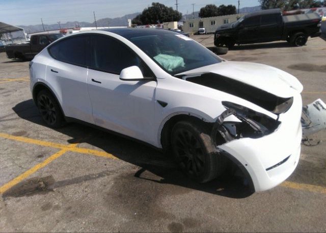 2021 TESLA MODEL Y (VIN: 5YJYGDEEXMF231229)