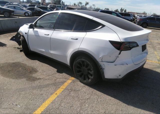 2021 TESLA MODEL Y(VIN: 5YJYGDEEXMF231229