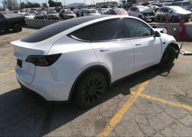 2021 TESLA MODEL Y(VIN: 5YJYGDEEXMF231229
