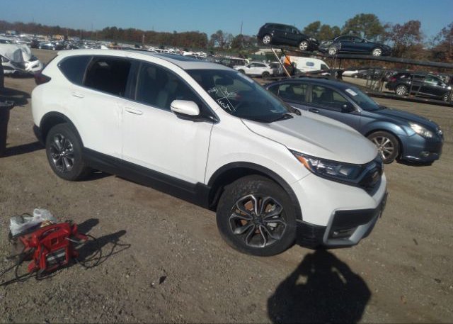 2022 HONDA CR-V (VIN: 2HKRW2H83NH629791)